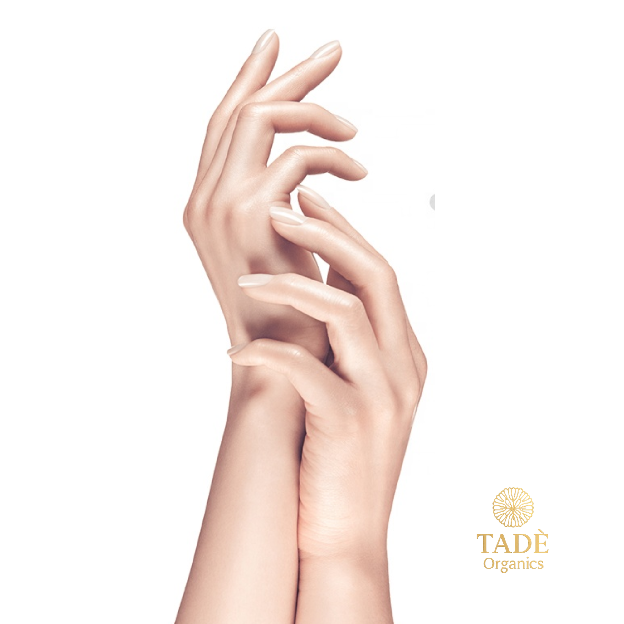 Tadè Organics Avocado Hand Masks